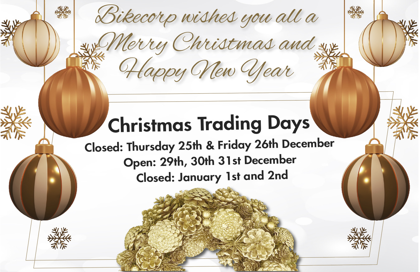 Christmas-New Year Banner 2025